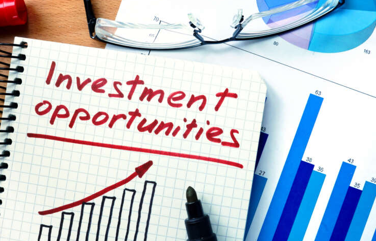 Types of Business Investments: Choosing the Right Strategy