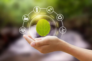 Small Business Sustainability Practices