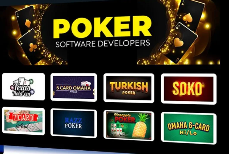Video Poker Software
